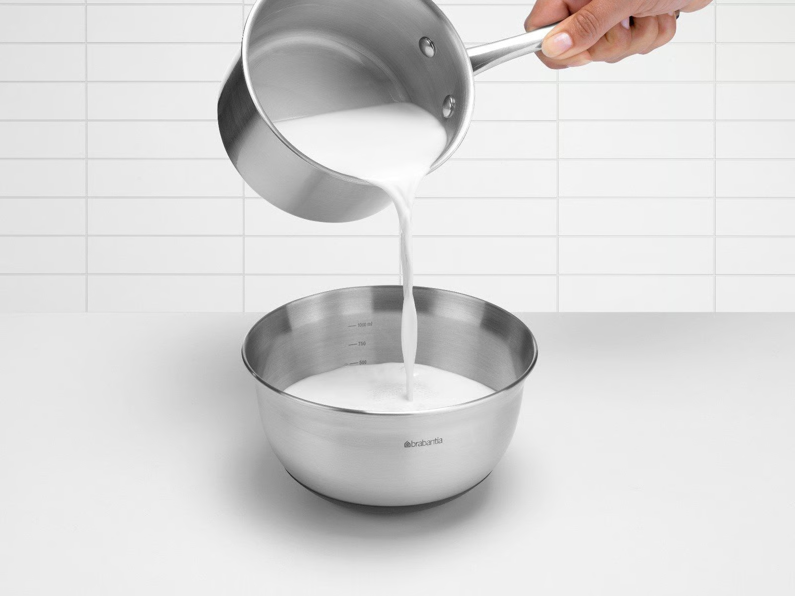 BRABANTIA mengkom - 363825