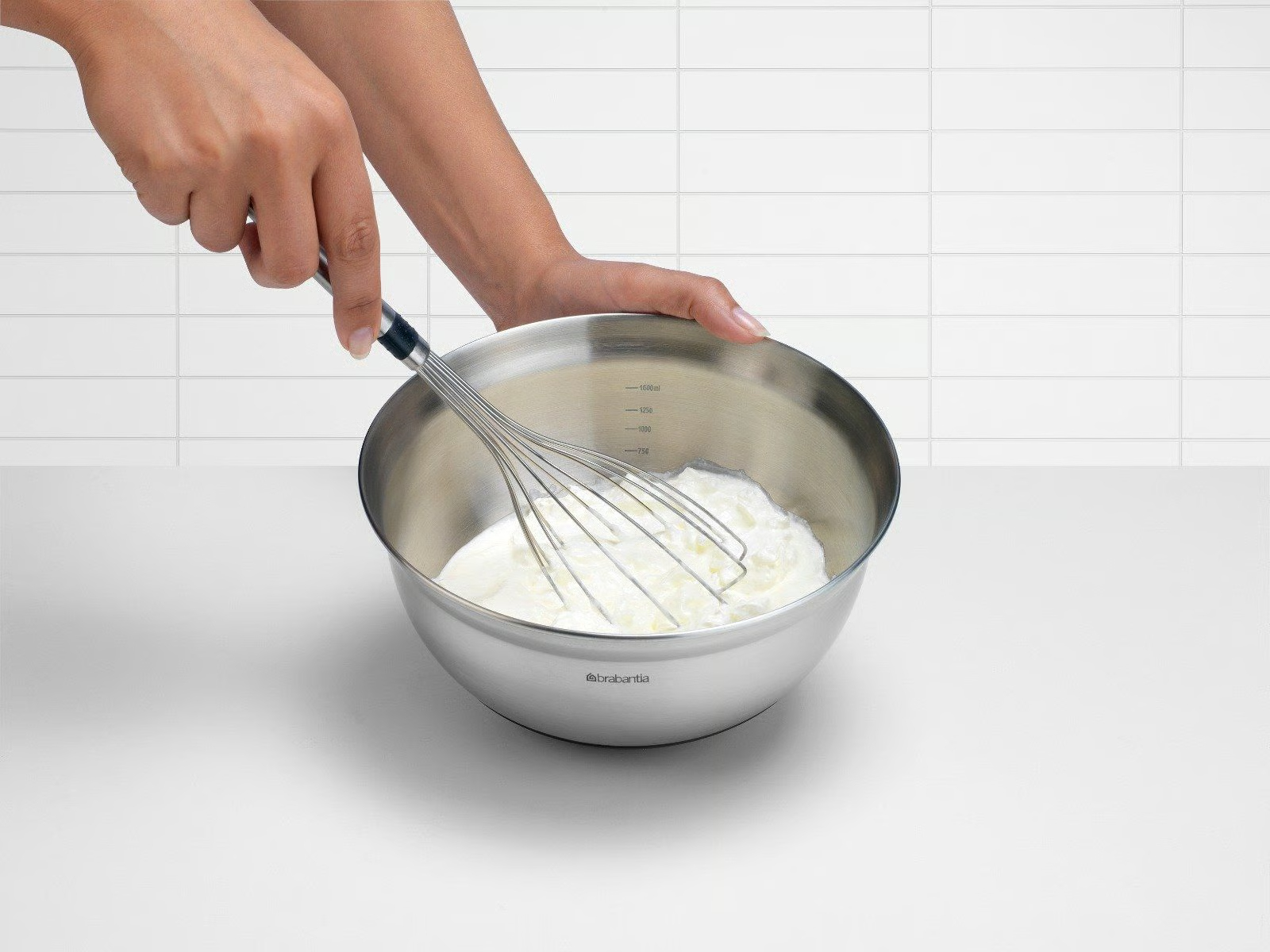 BRABANTIA mengkom - 363849