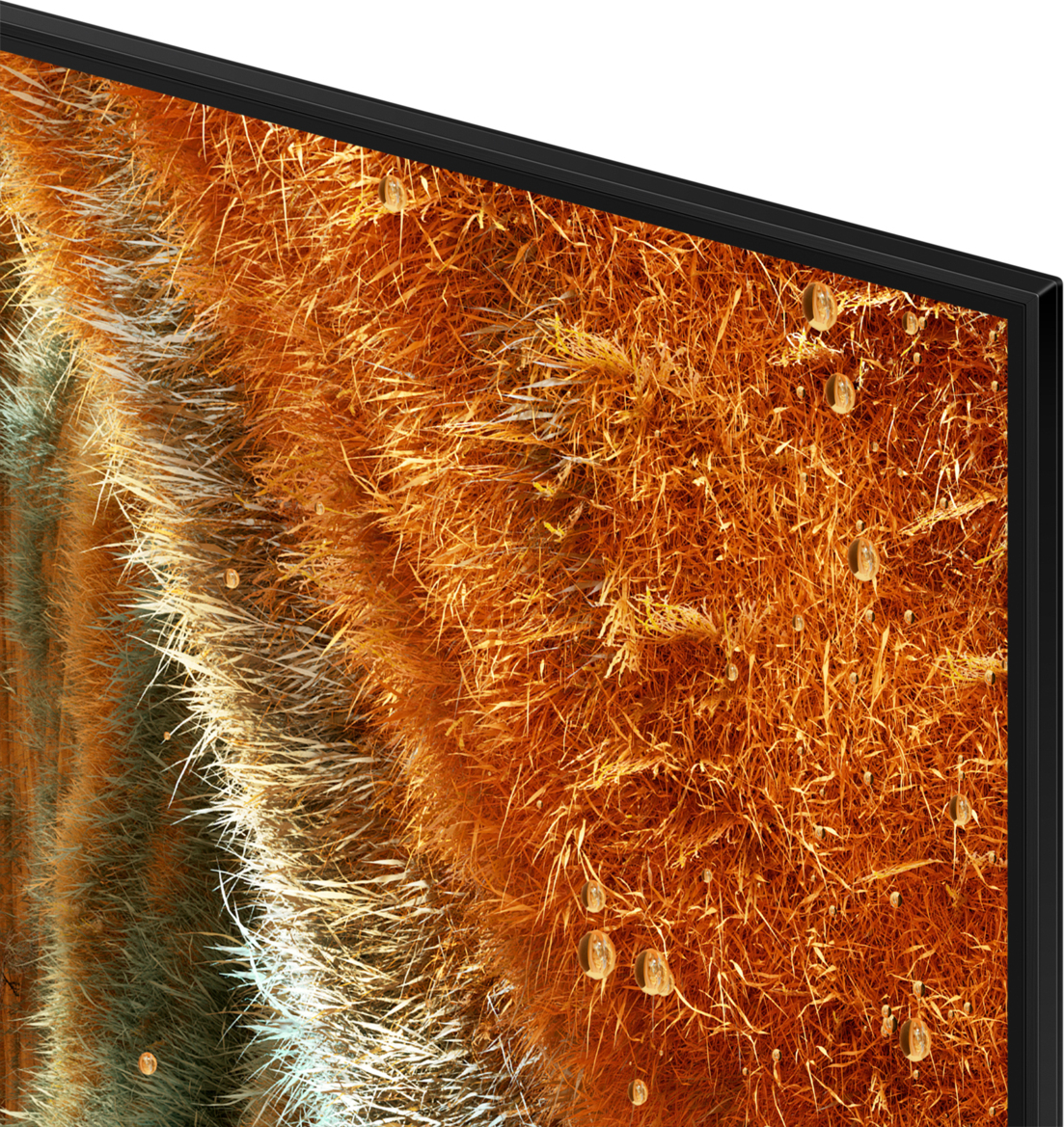 SAMSUNG Televisie 65" QLED 4K (UHD) - QE65QN77FATXXN