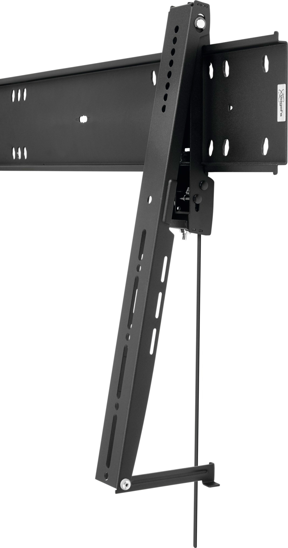 VOGELS  - PFW6815