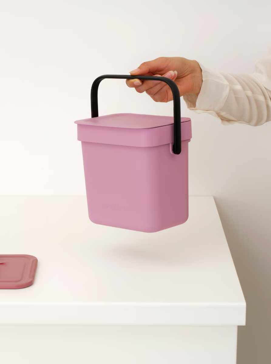 BRABANTIA  - 255427