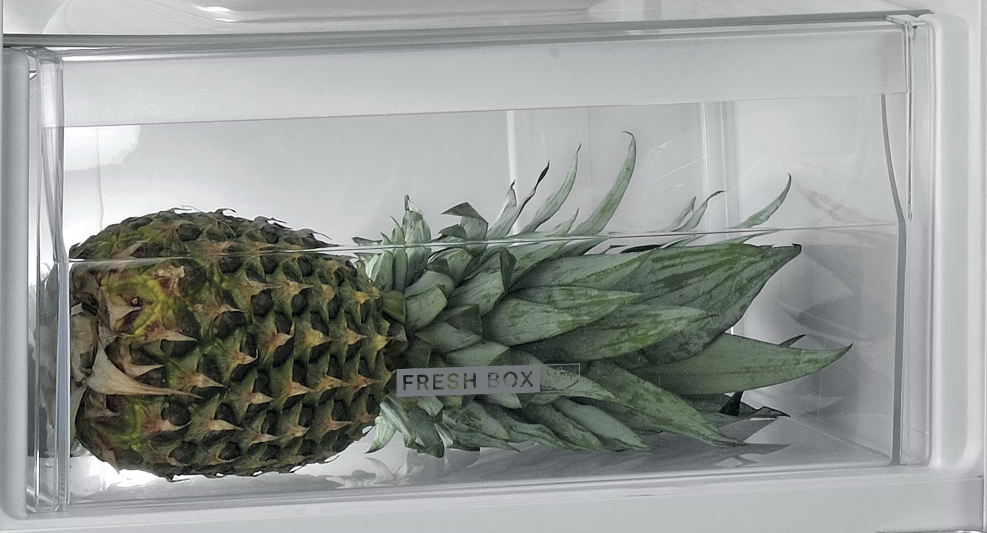 WHIRLPOOL koelkast met vriesvak  - 102cm - ARG104702