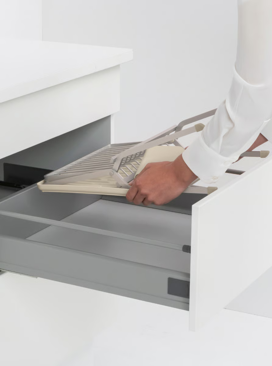 BRABANTIA  - 252105