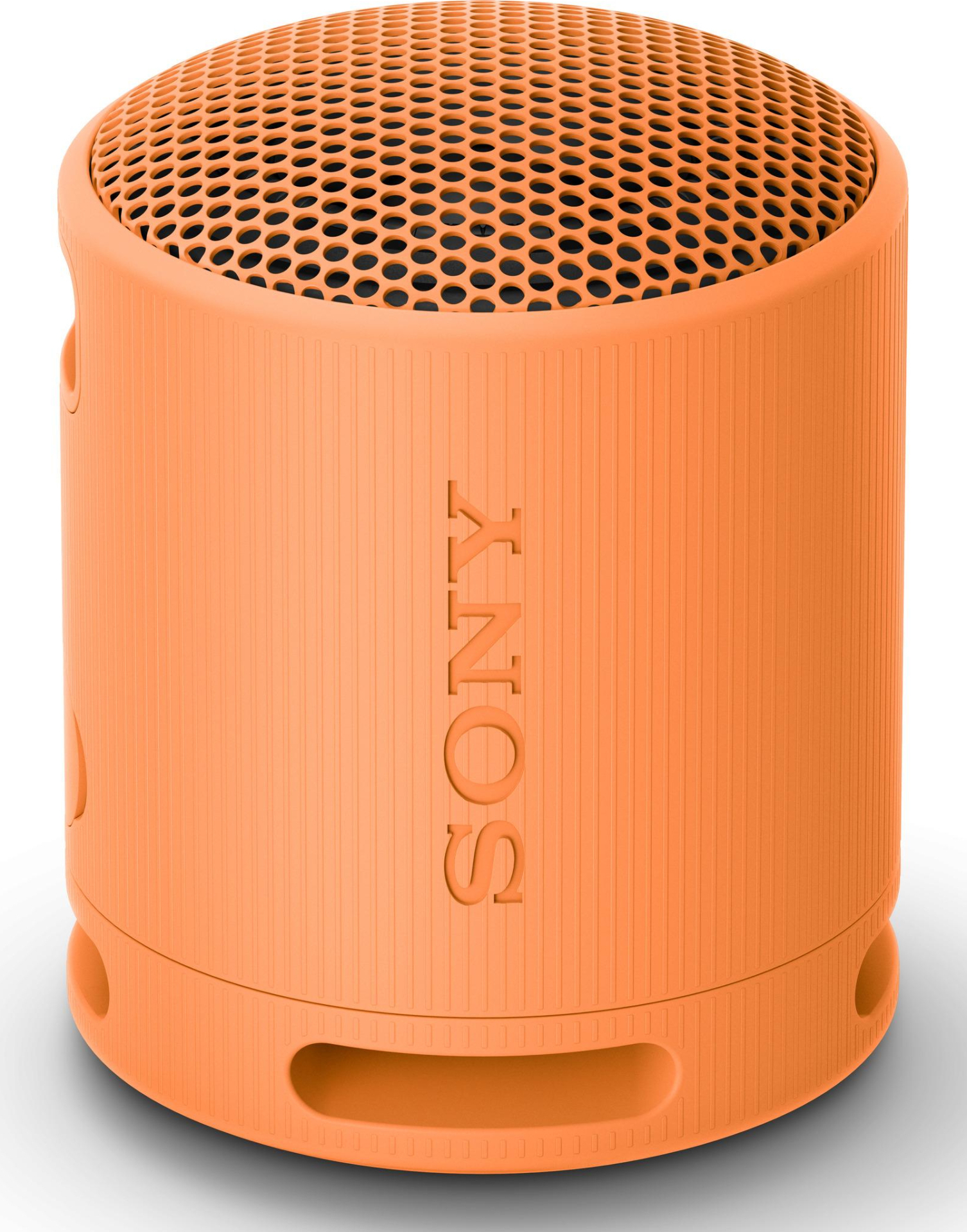 SONY  - SRSXB100D.CE7