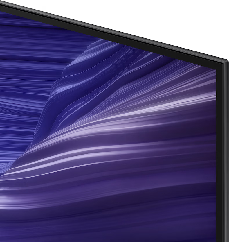 SAMSUNG QE55S93HAEXXN