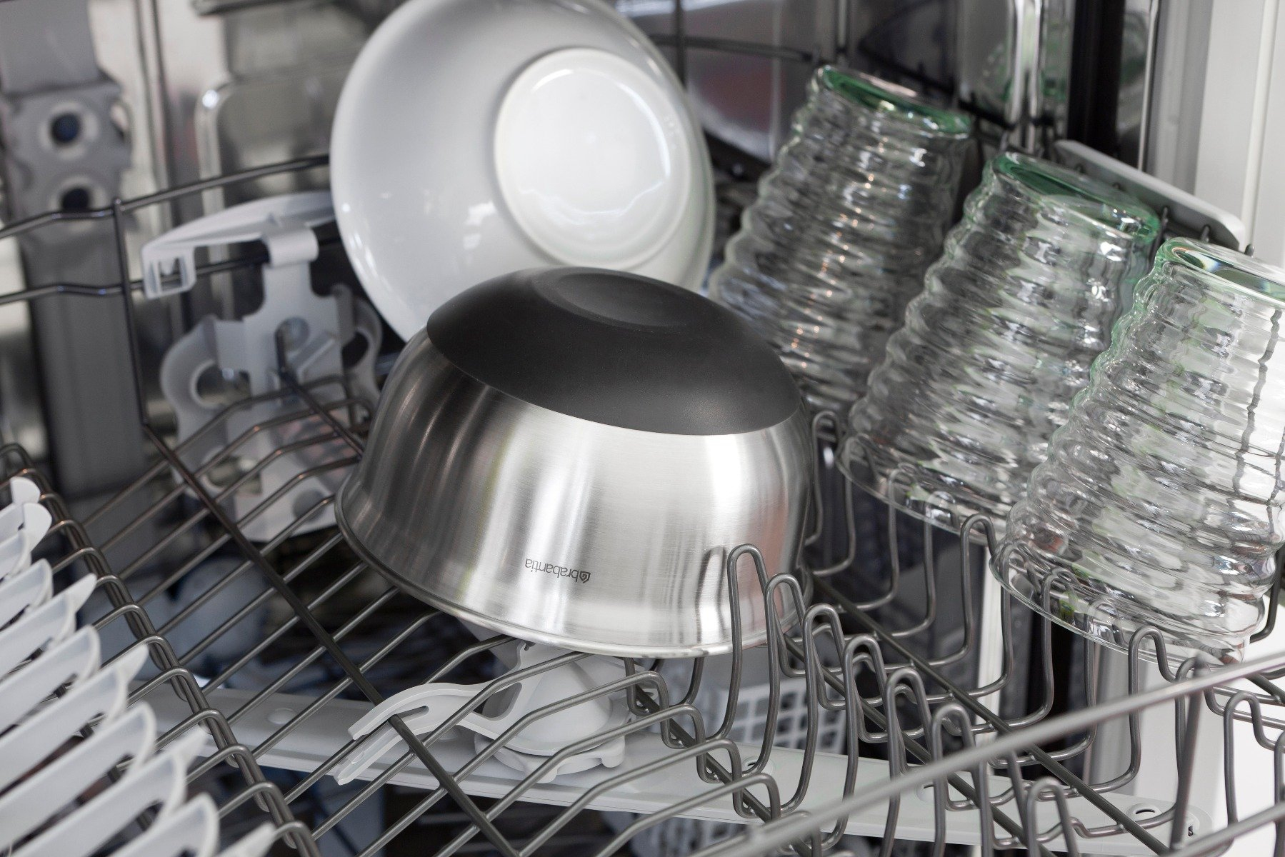 BRABANTIA mengkom - 363825