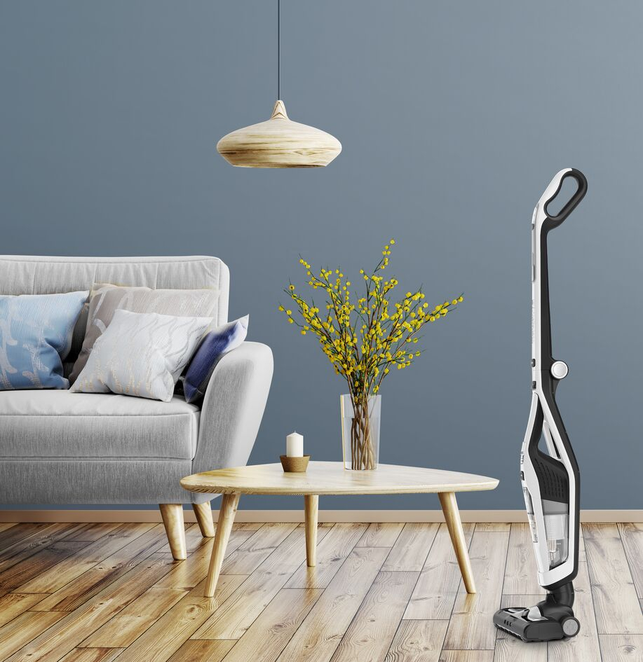 ROWENTA steelstofzuiger - RORH6737WH