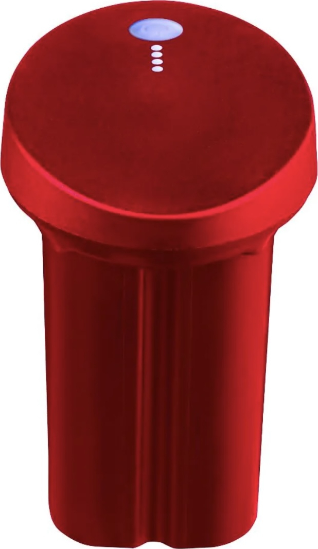 BAMIX batterij - 3100003