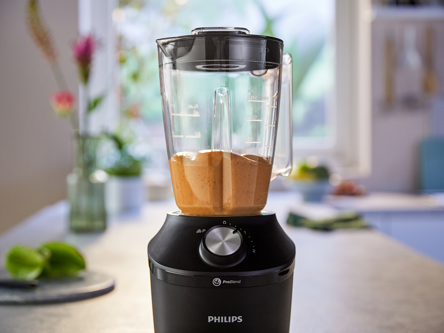 PHILIPS PDHR2291/01
