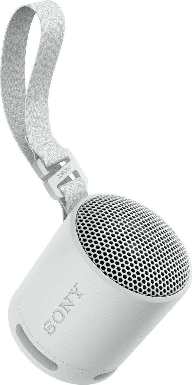 SONY  - SRSXB100H.CE7