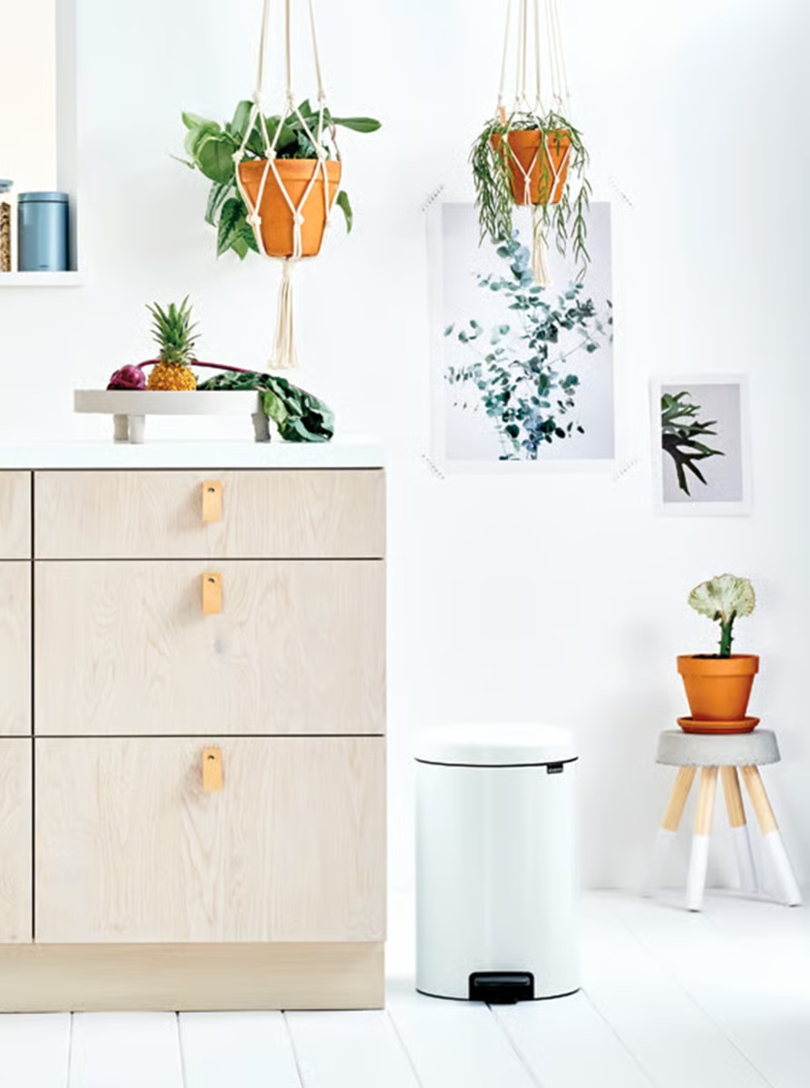 BRABANTIA  - 252006
