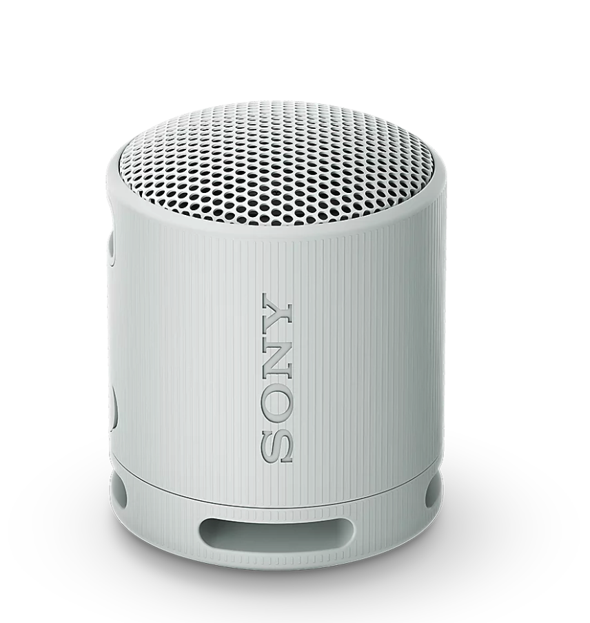 SONY SRSXB100H.CE7