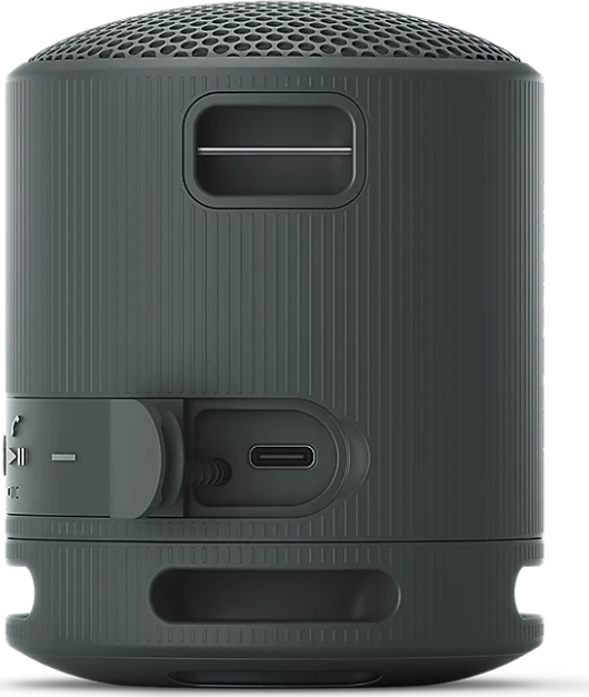 SONY  - SRSXB100B.CE7