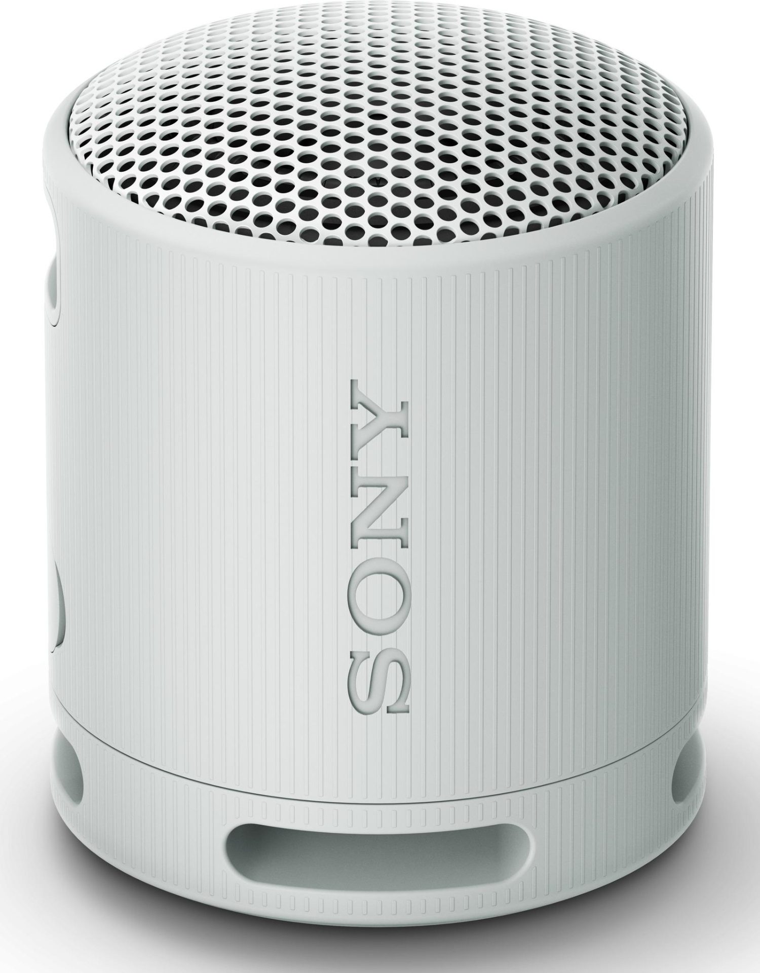 SONY  - SRSXB100H.CE7